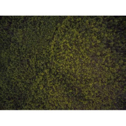 Fantastic Iron Coat fr-FR